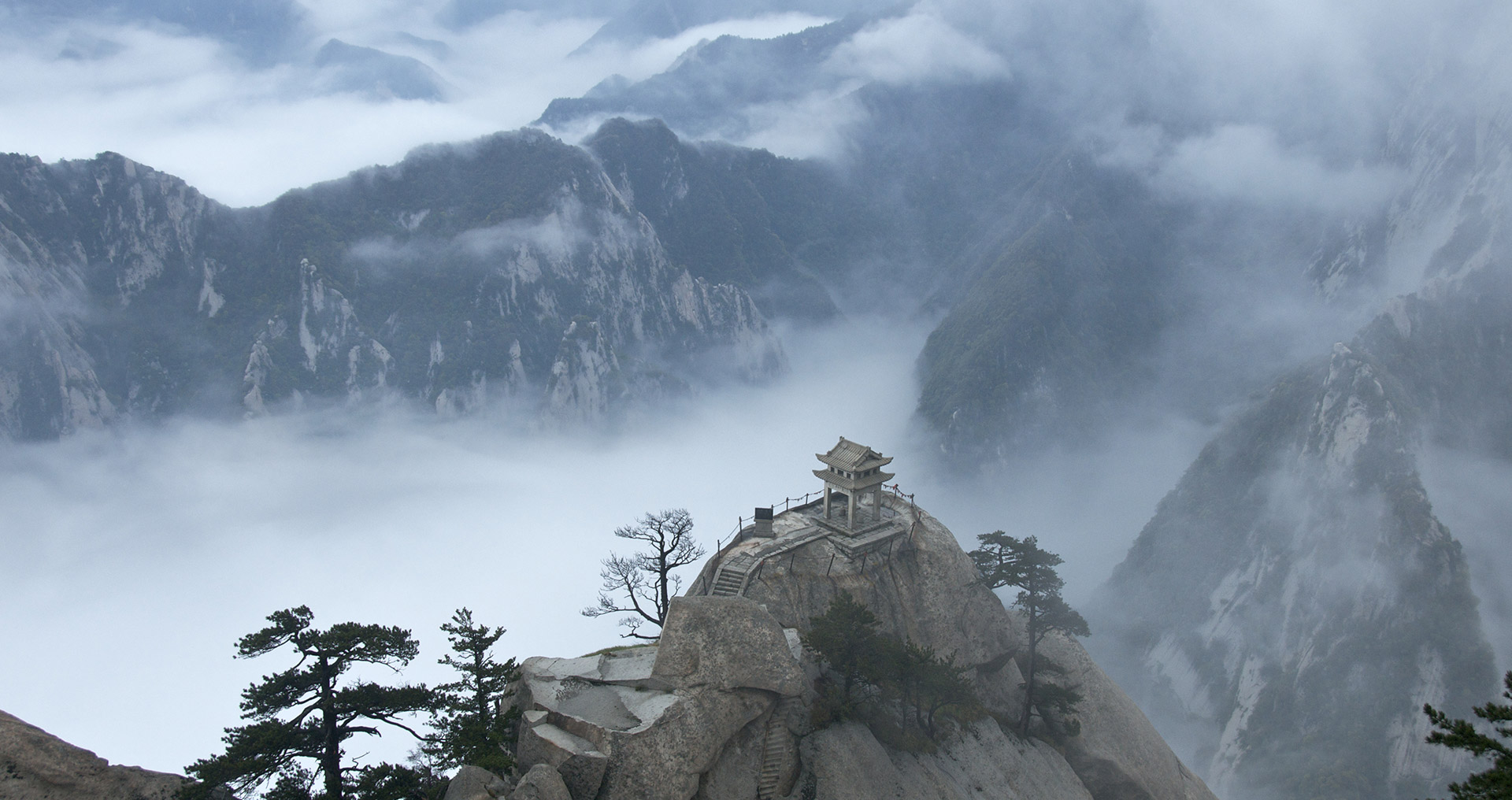 云呼免费网络电话